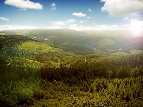 Thüringer Wald Foto © Jens Hauspurg