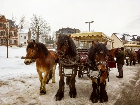 Pferdeschlitten Foto © Sachsen Incoming